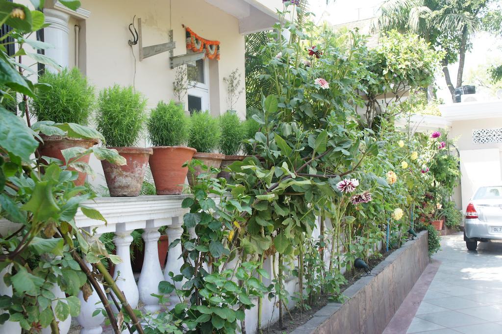 Sirohi House New Delhi Ngoại thất bức ảnh