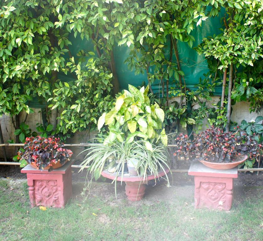 Sirohi House New Delhi Ngoại thất bức ảnh