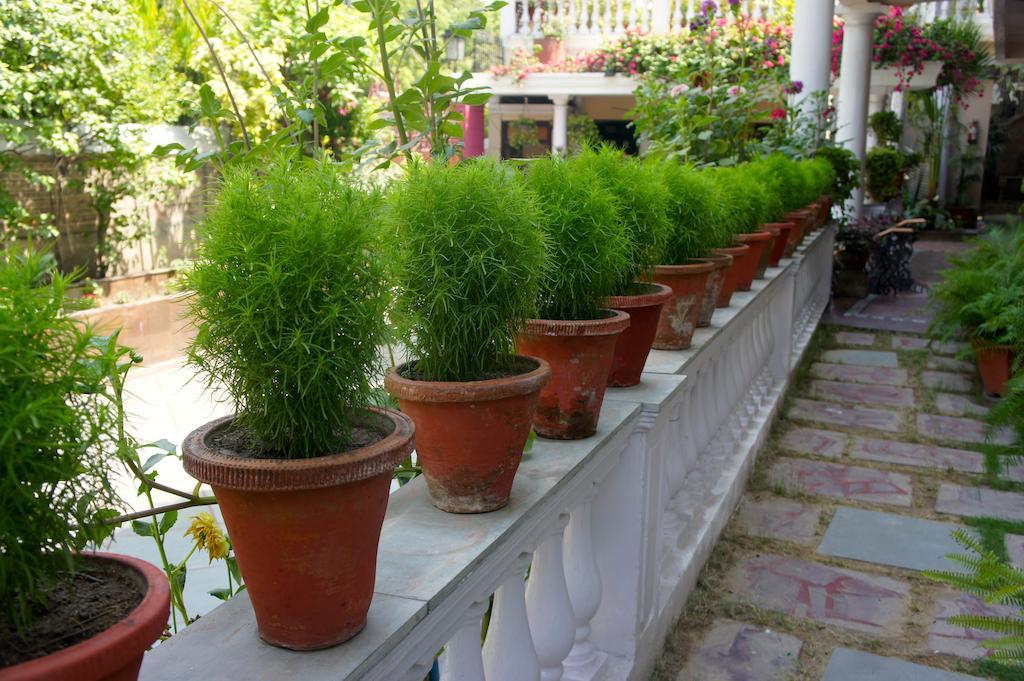 Sirohi House New Delhi Ngoại thất bức ảnh